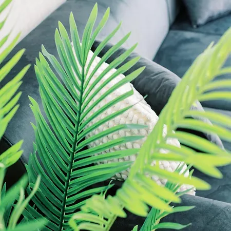 Lägenhet 2br Amalfi Blue In - Pool & 10min Walk To Mackenzie Beach!